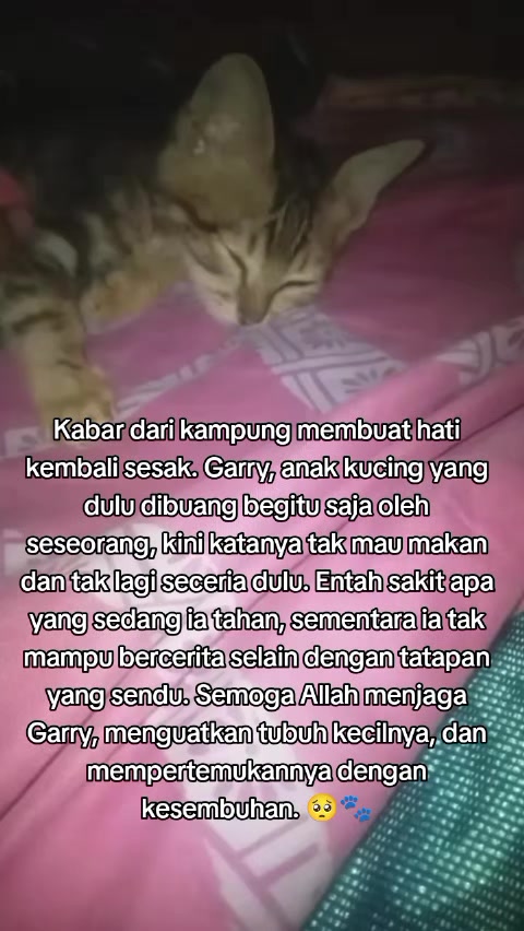 @Lina herlina