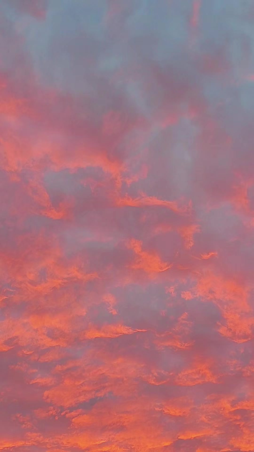 @SussyMeya🌺🦋