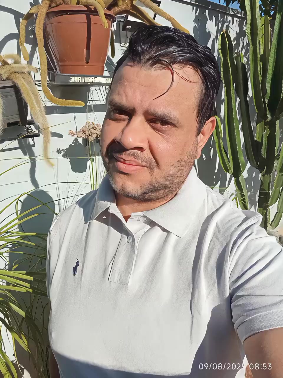 @Rodrigo Direita