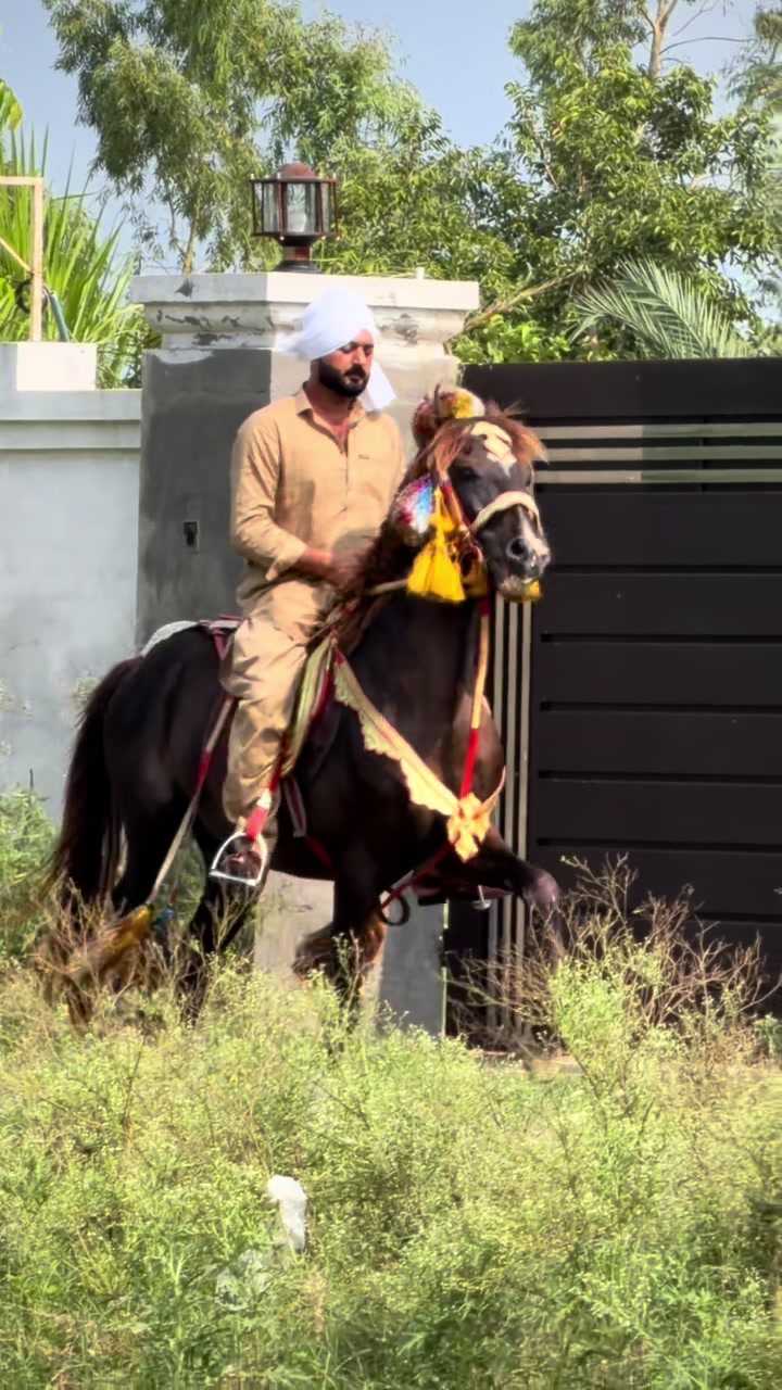 @Faisal Altaf Bosal