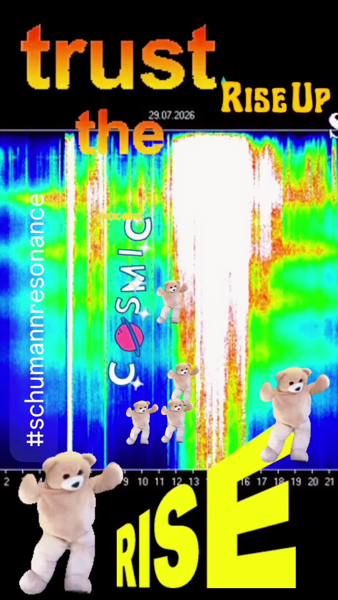 @loullamarshmallowholistic