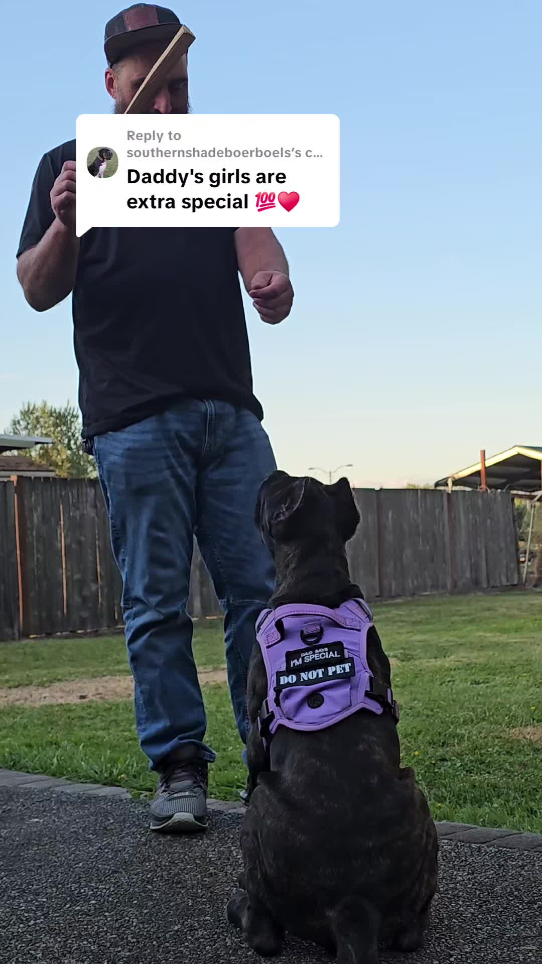 @SalmonCreekCaneCorso