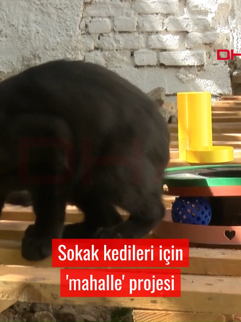 @Demir&ouml;ren Haber Ajansı