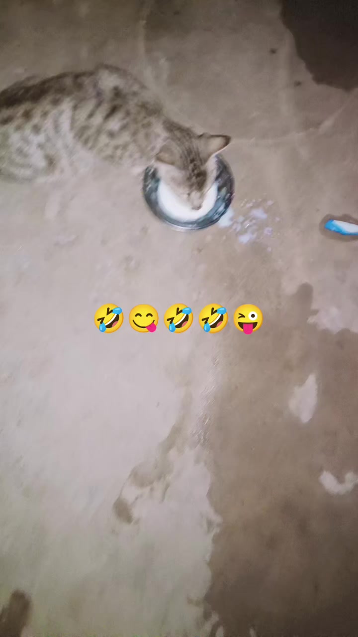 @ruhi khan