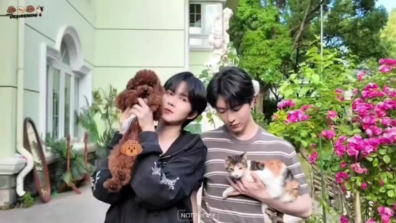 @LinhLinh 龚俊🍊张哲瀚 ❤️051129💙