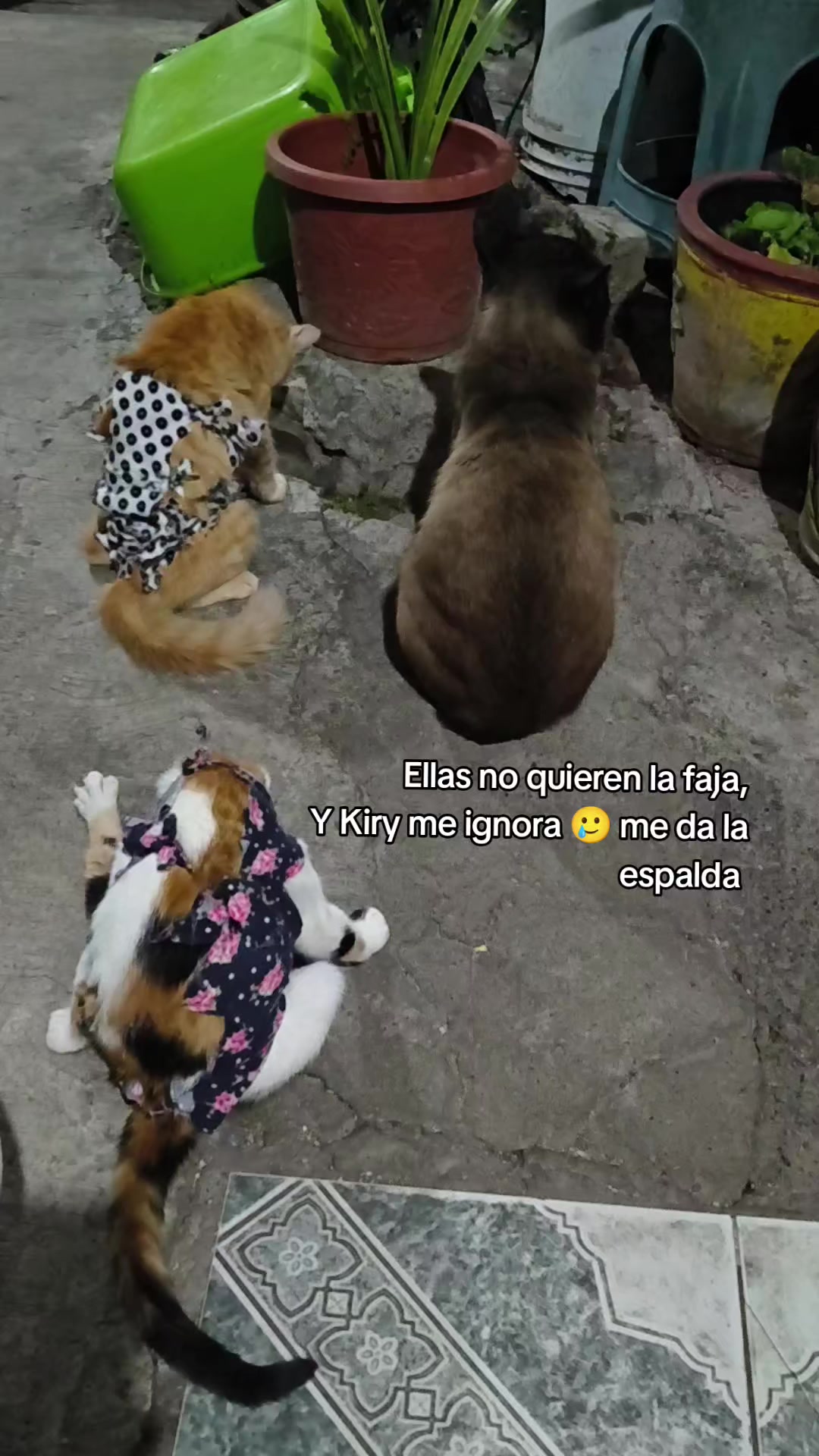 @🇲🇽🌻YANN♥🌻🇲🇽