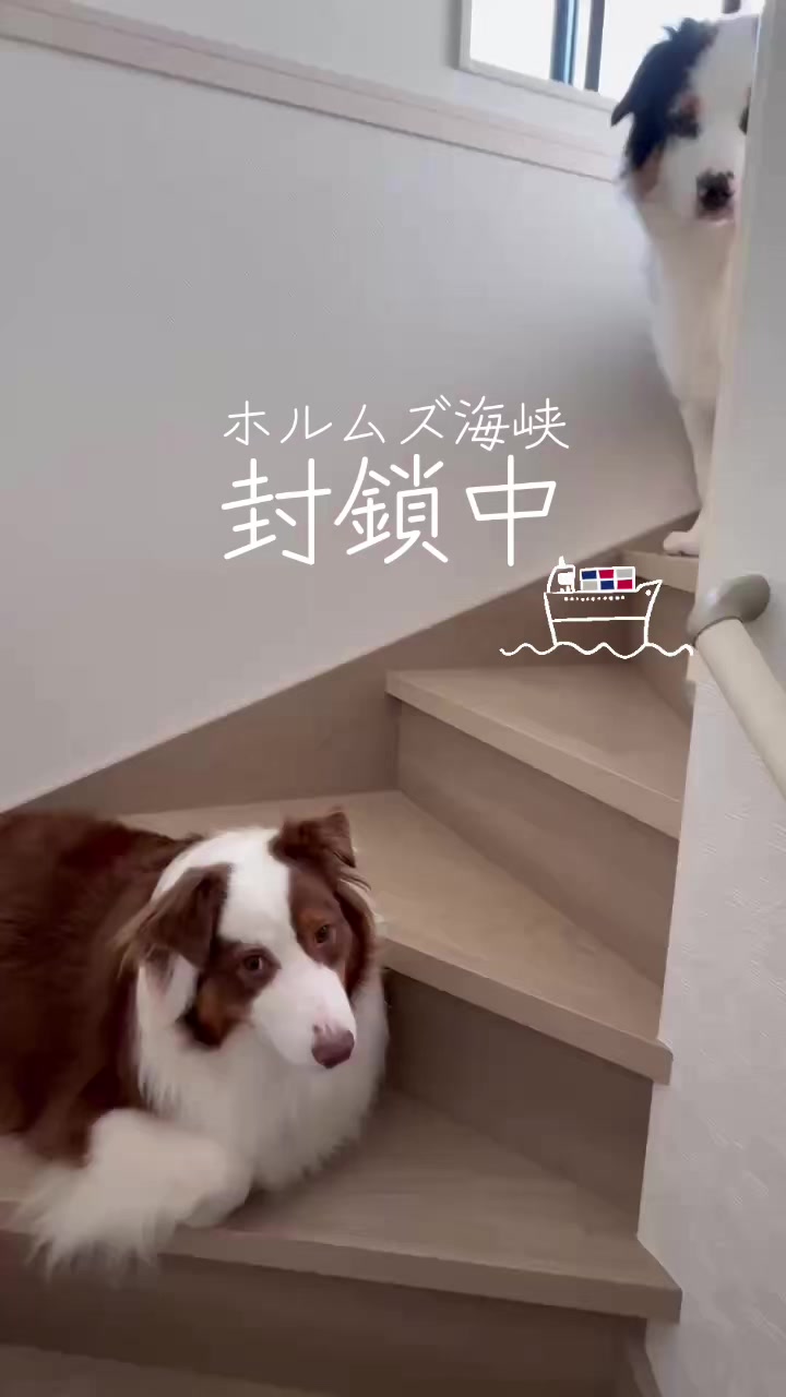 @サン&タマ