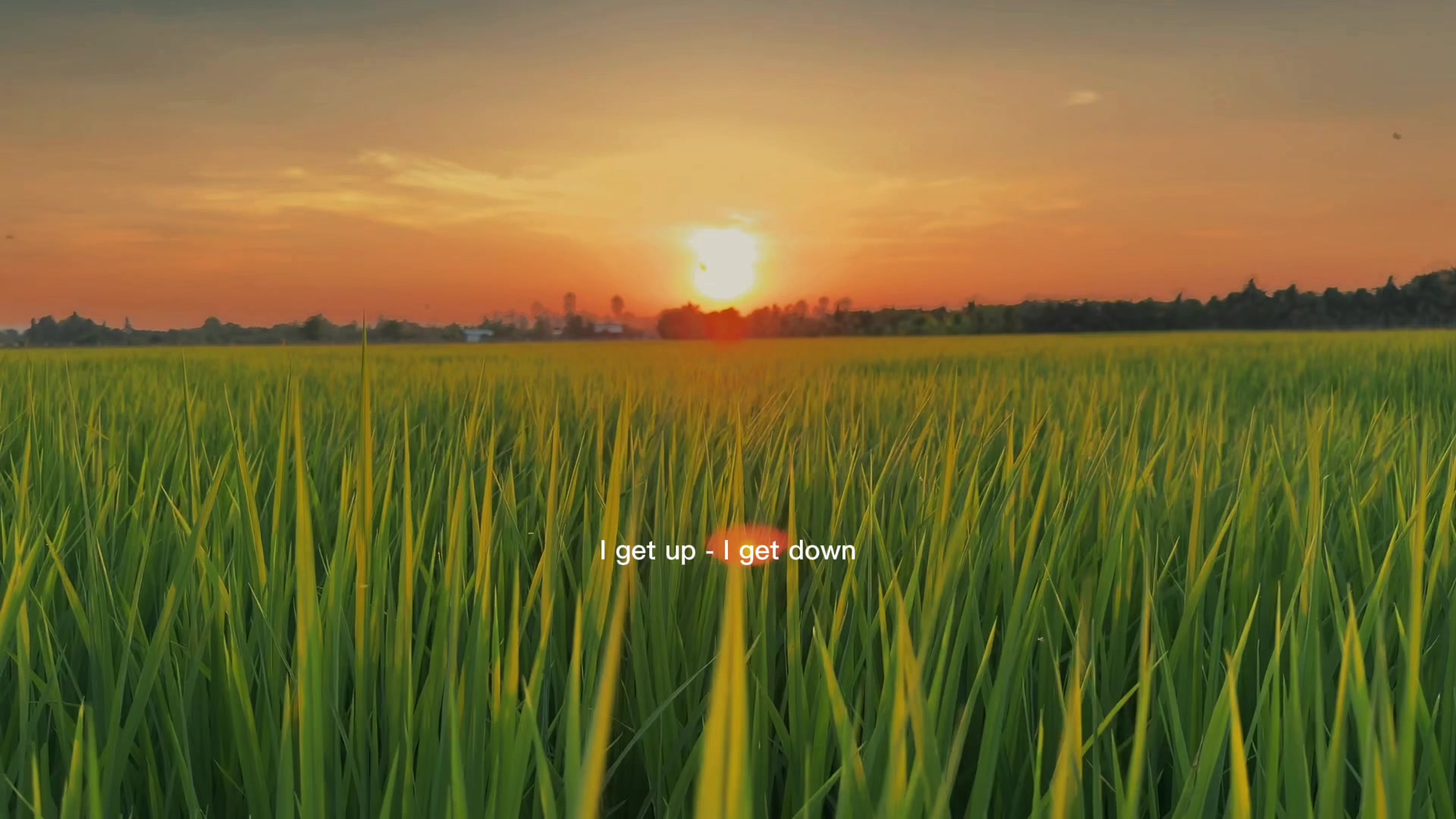 @𝙆𝙒𝙀𝘼𝙉 𝙈𝙐𝙎𝙄𝘾♪