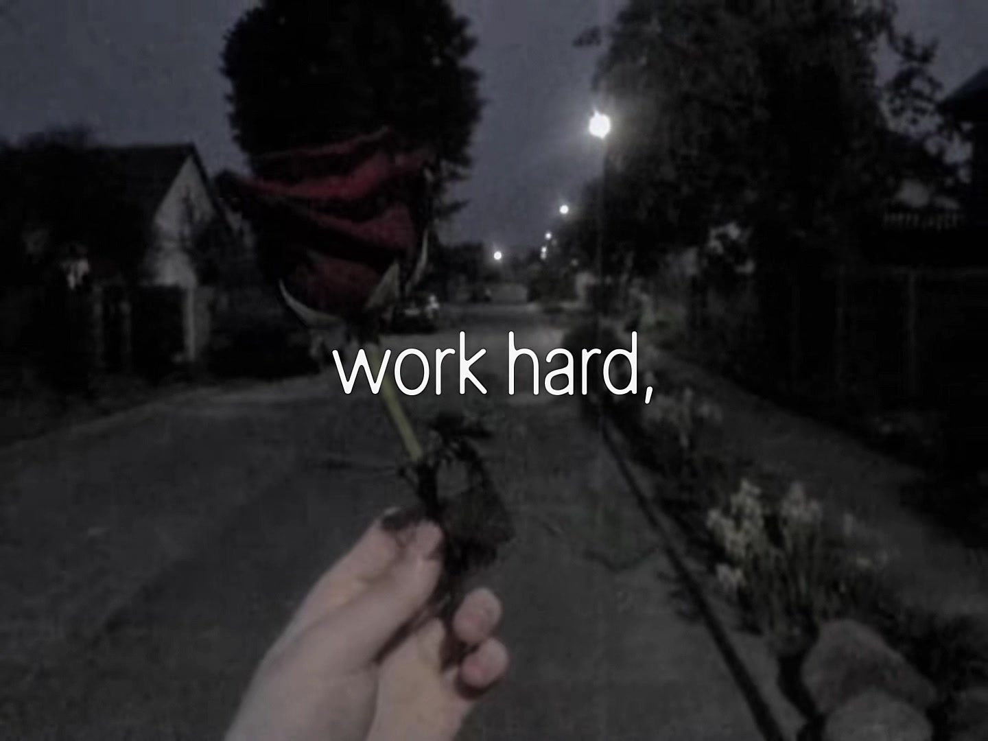 @bug