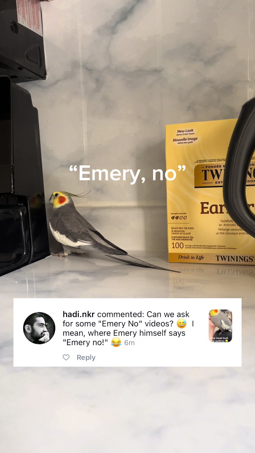 @Emery The Branch Manager