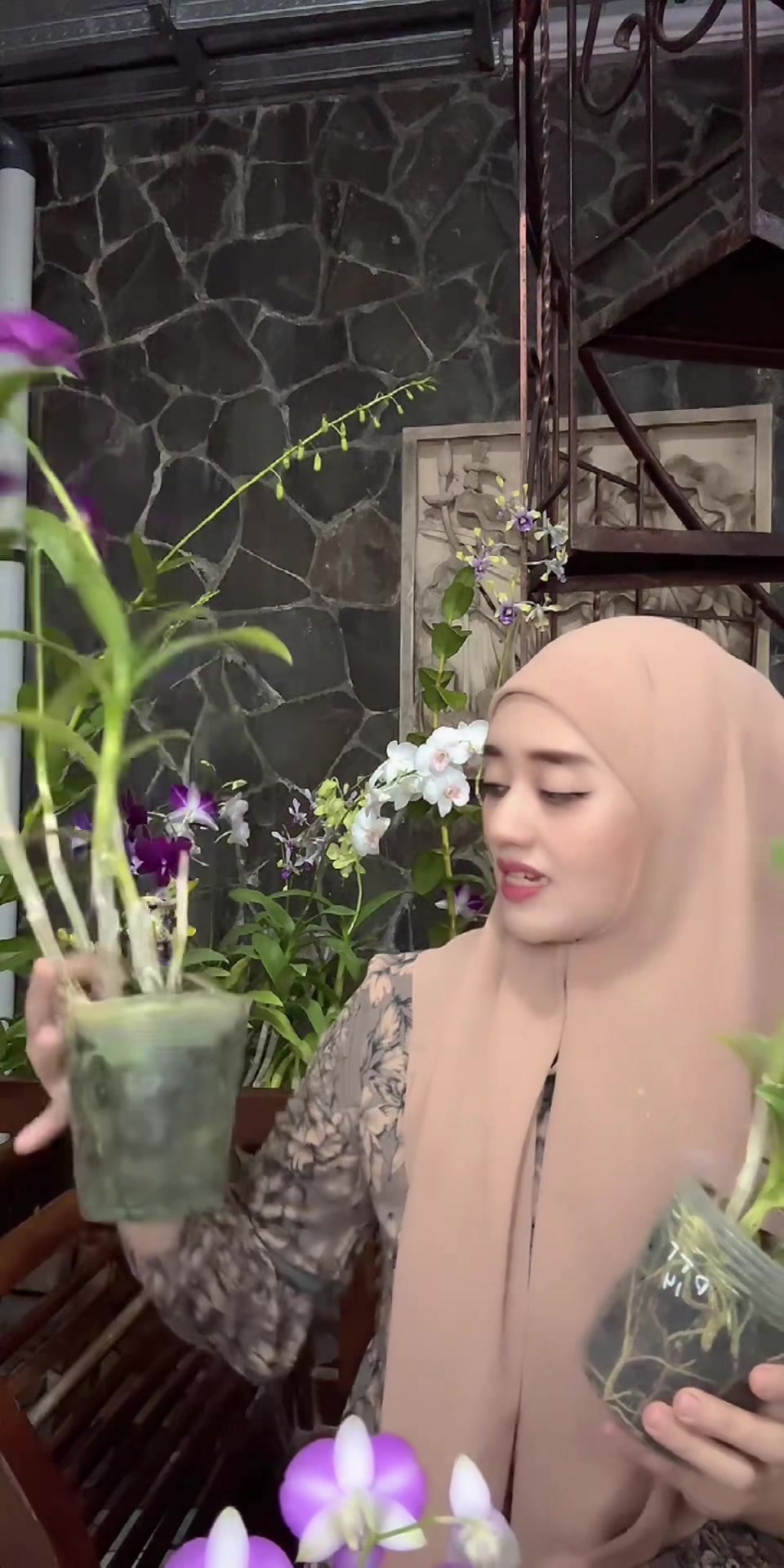 @Anggina Orchid