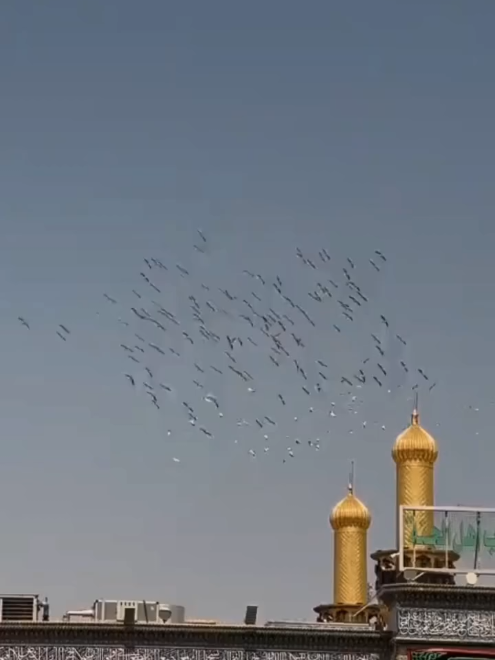 @Syed Adnan Ali Bukhari