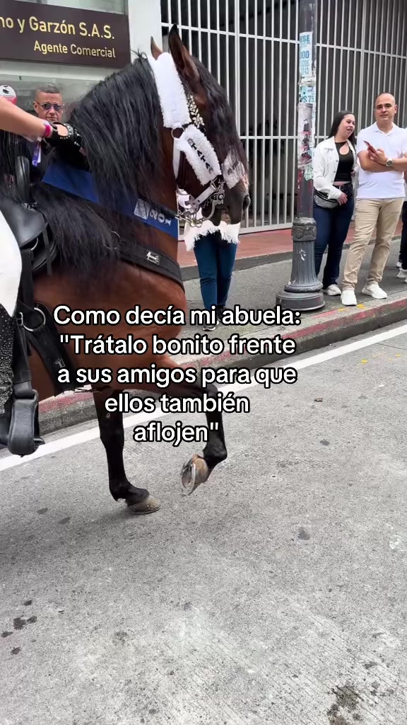 @🐴TATA🐴 🐴PROFESOR DEJM🐴