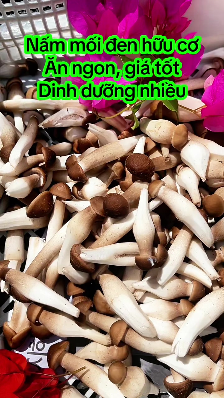 @nguyentuyet_79