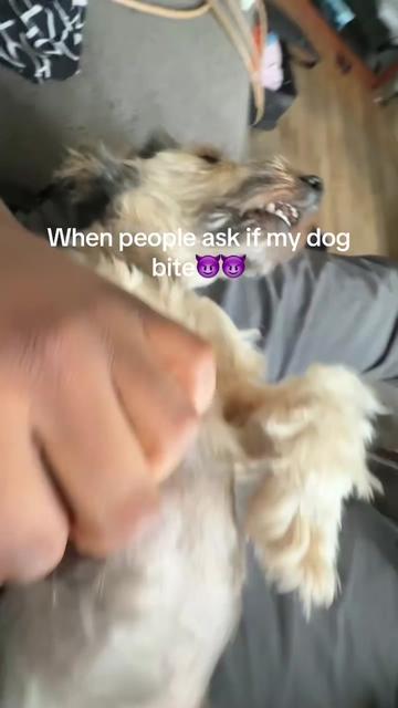 @FREEEEJ