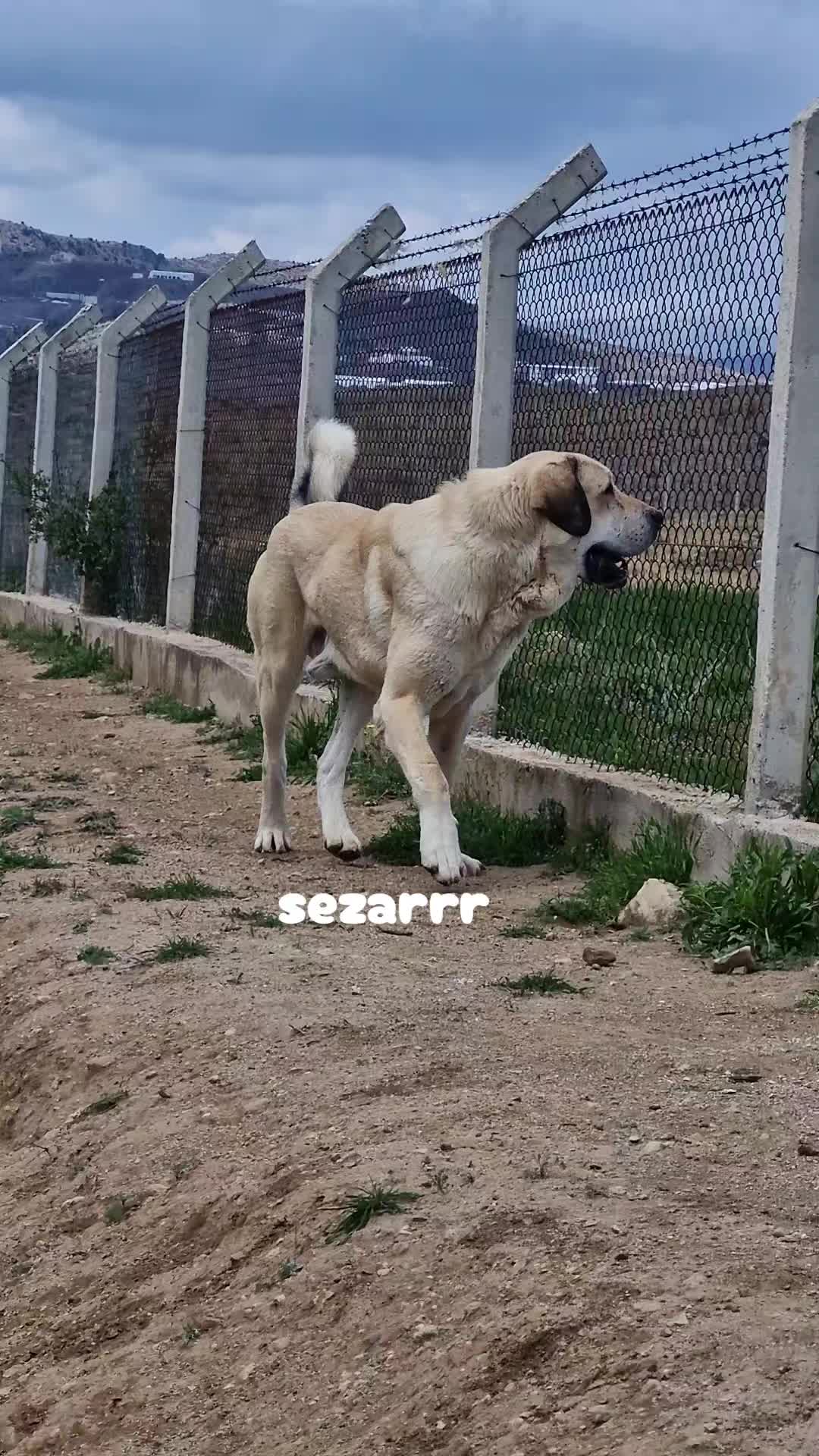 @🦋🇹🇷mrt__06🇹🇷🦋