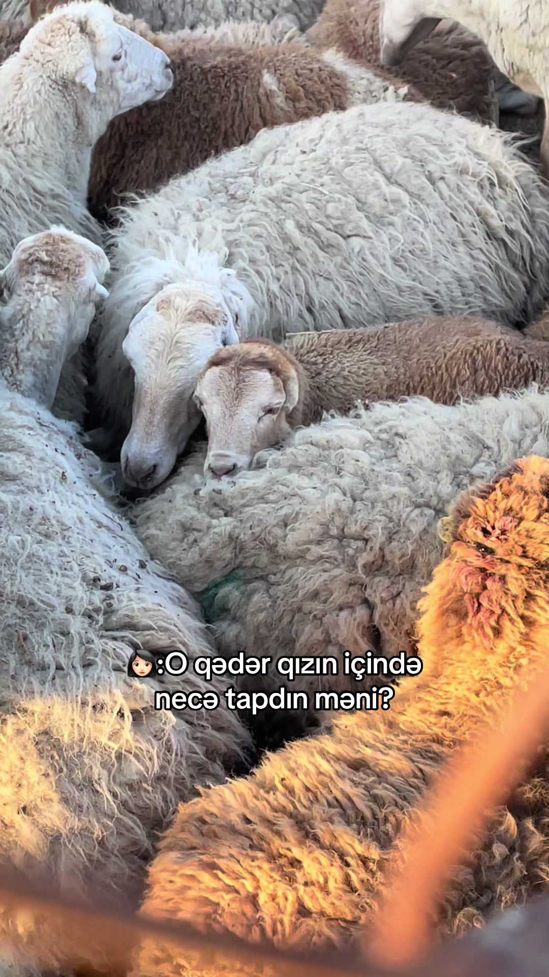 @Rəşad