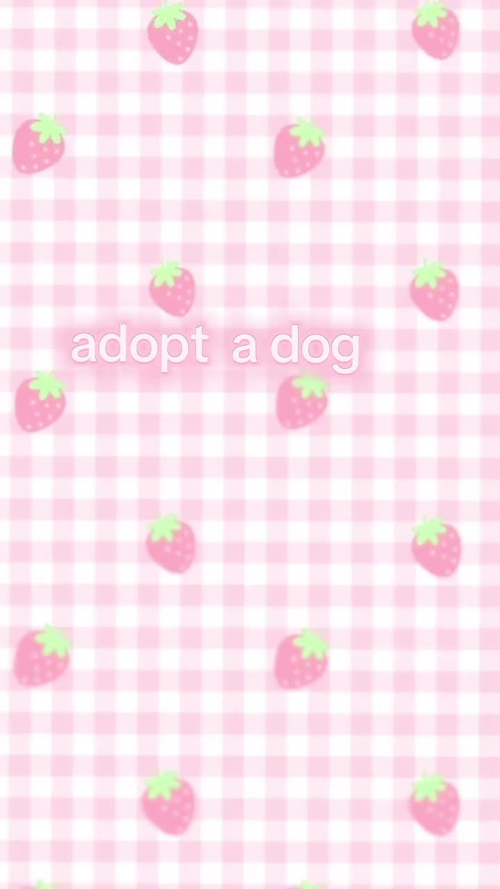 @cookie🌸༷.ʚ♡゙ɞ:🐬