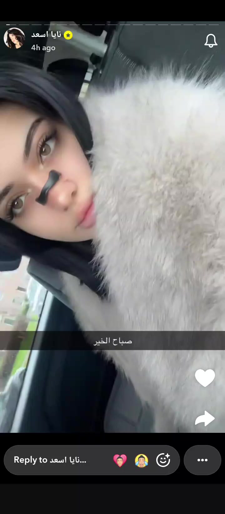 @نونو فانز نايا