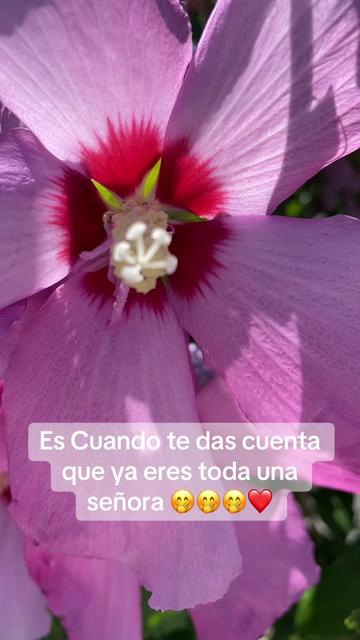 @Mary Orozco