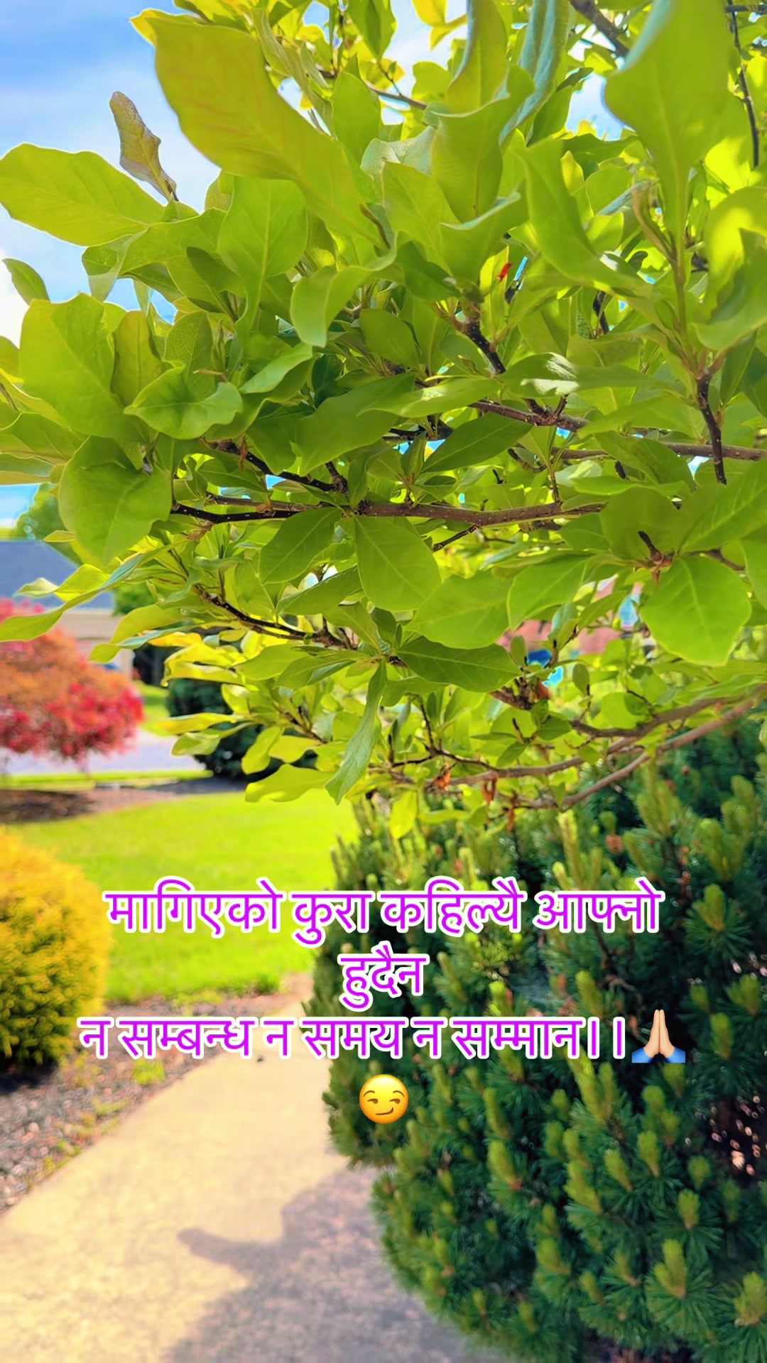@❤️Pokharel5binod