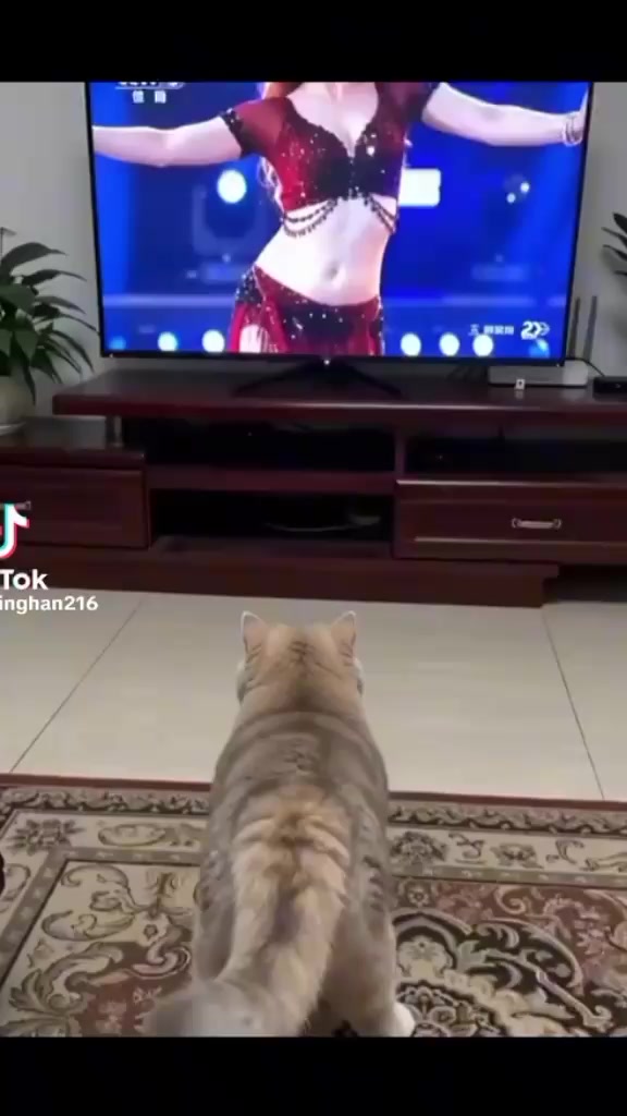 @Jia786