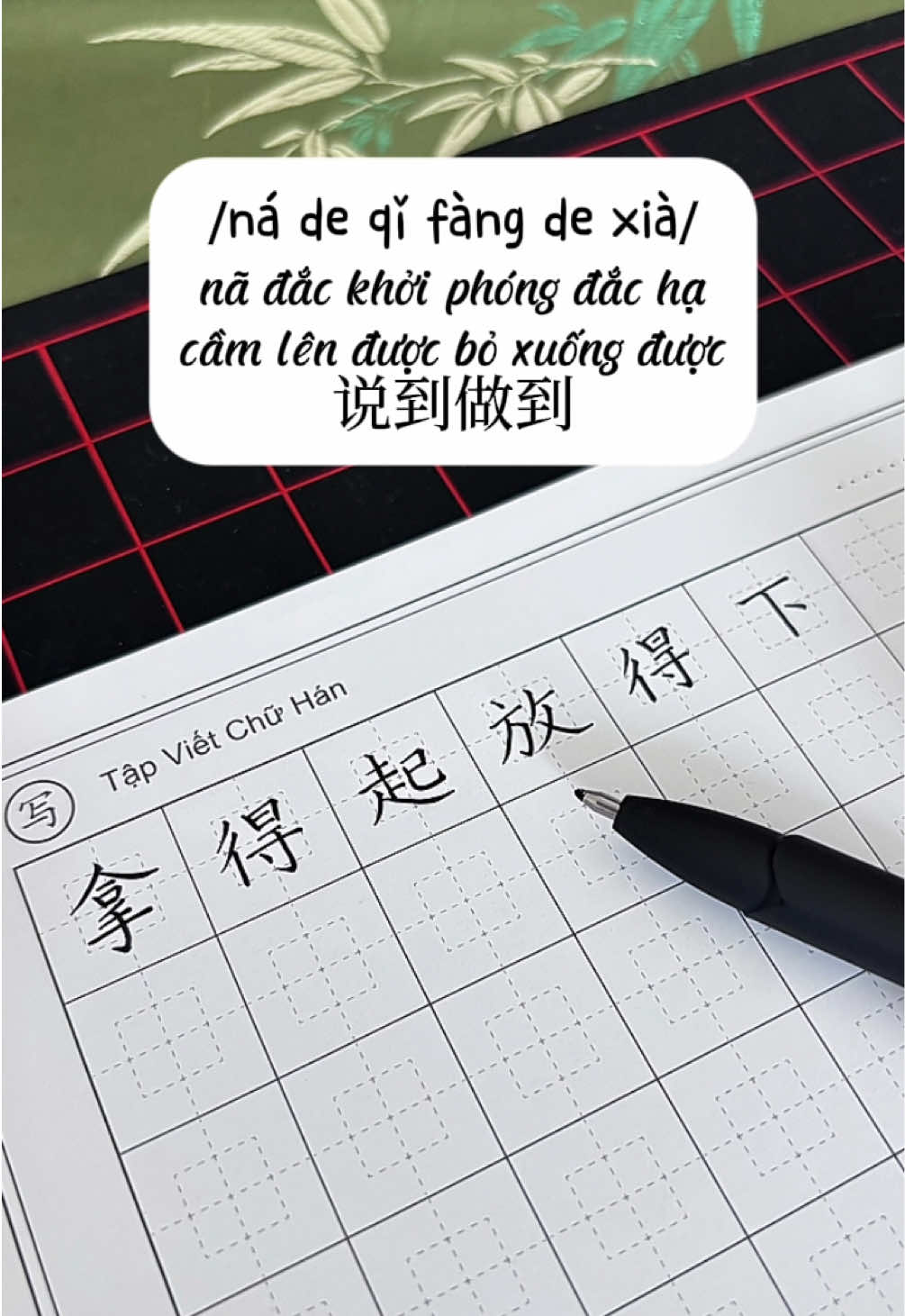 @🌷Mộc Mộc🌱木木丽红