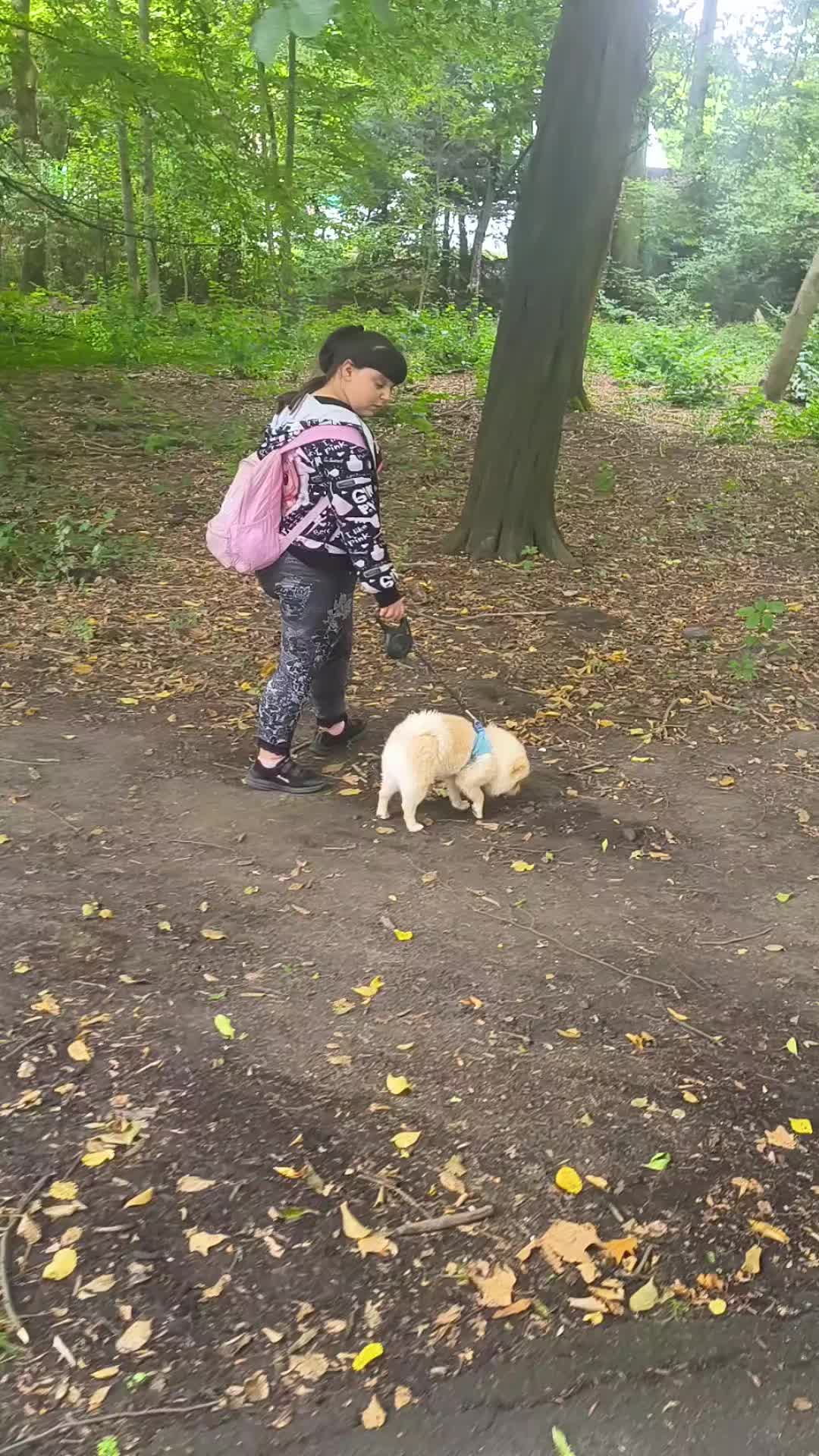 @@inusik