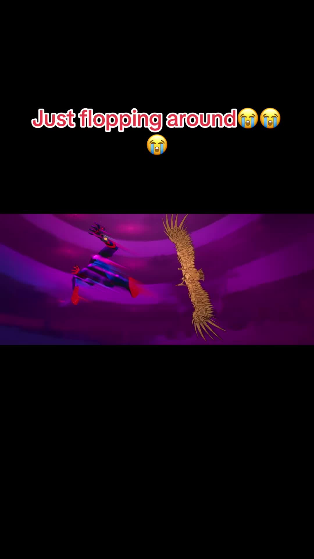@Isa🕷