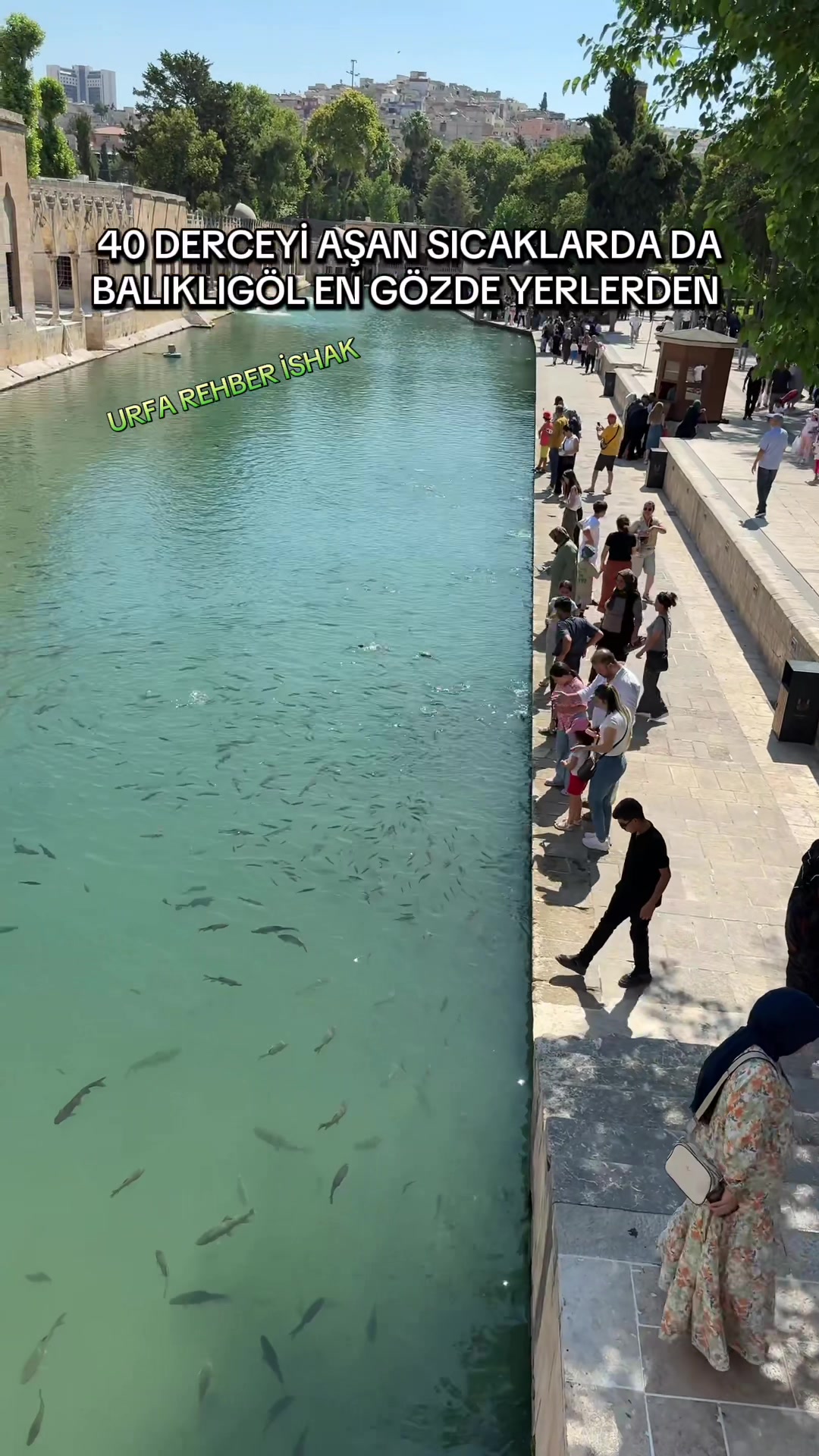 @🟨URFA🟩REHBER🟨İSHAK🟩