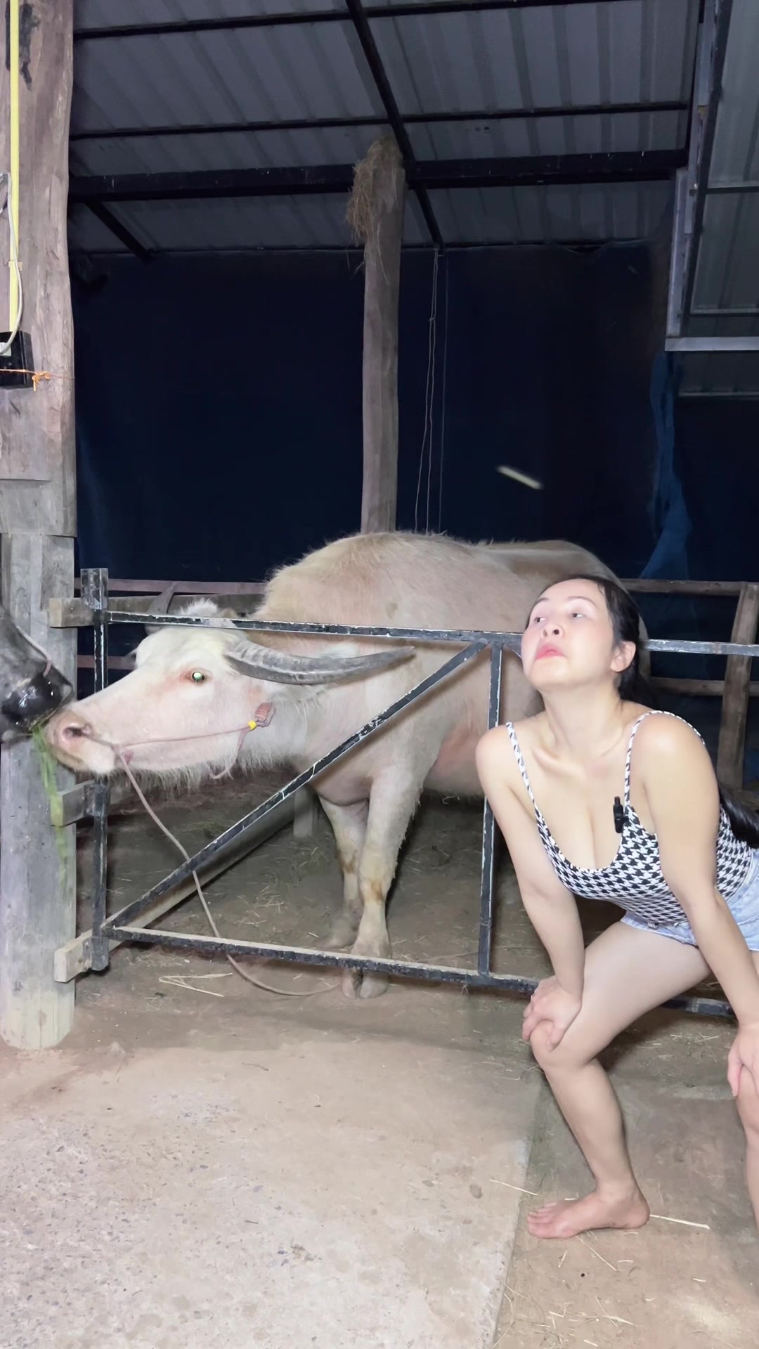 @AA Aranya Farm