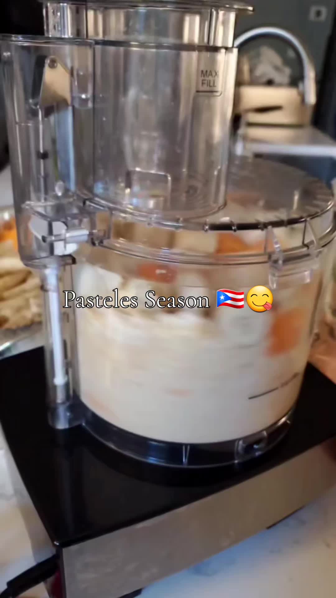 @msjibarito312