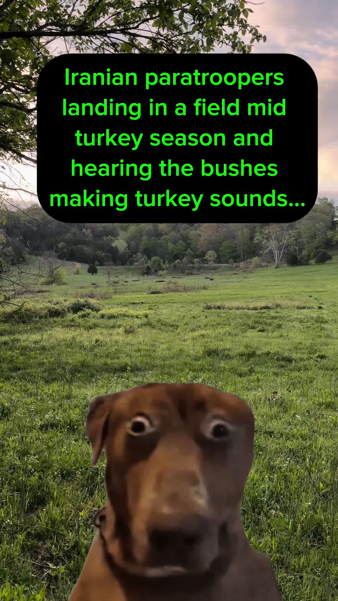 @🦃 Lynchburg Outdoors 🦌
