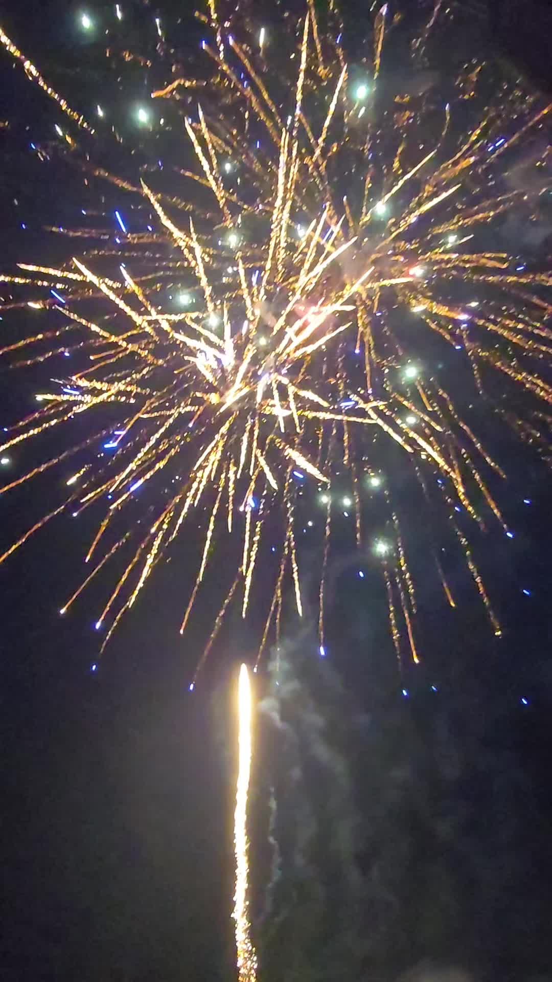 @warrior77