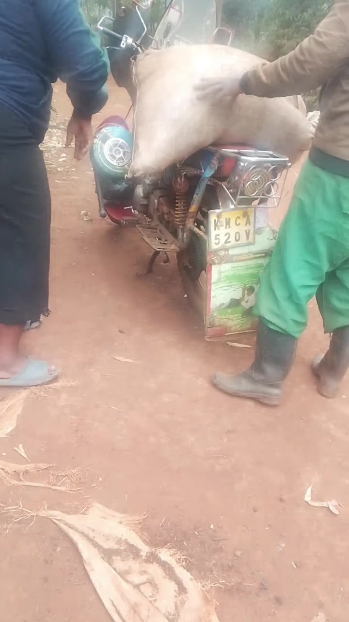 @Elosykariuki254