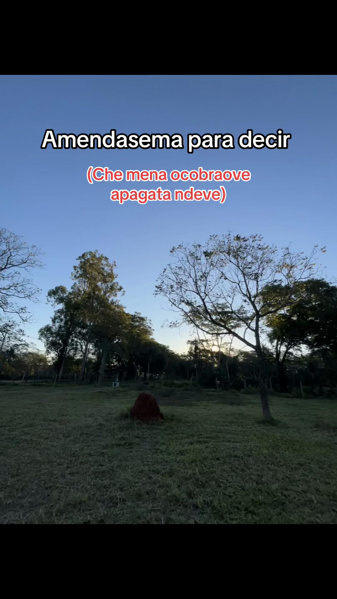 @Monsecita🦦