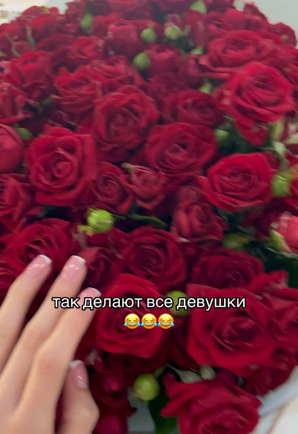 @pox_chka