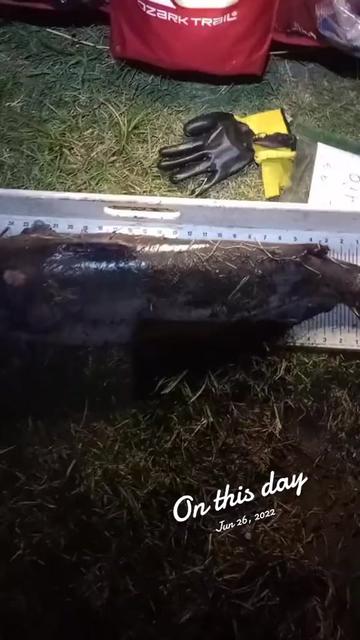 @mack fishing
