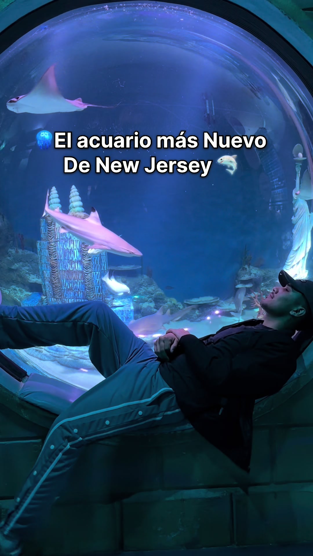 @Camilo Núñez
