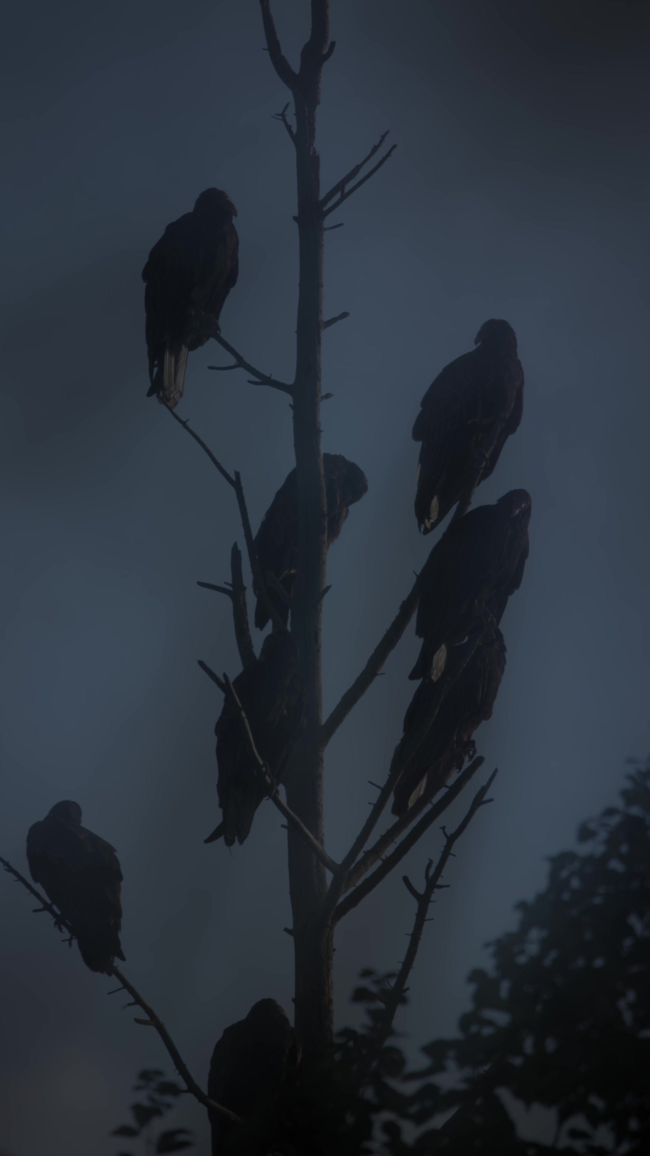 @🦅 SnAvEWild 🦊 🦌 🦆