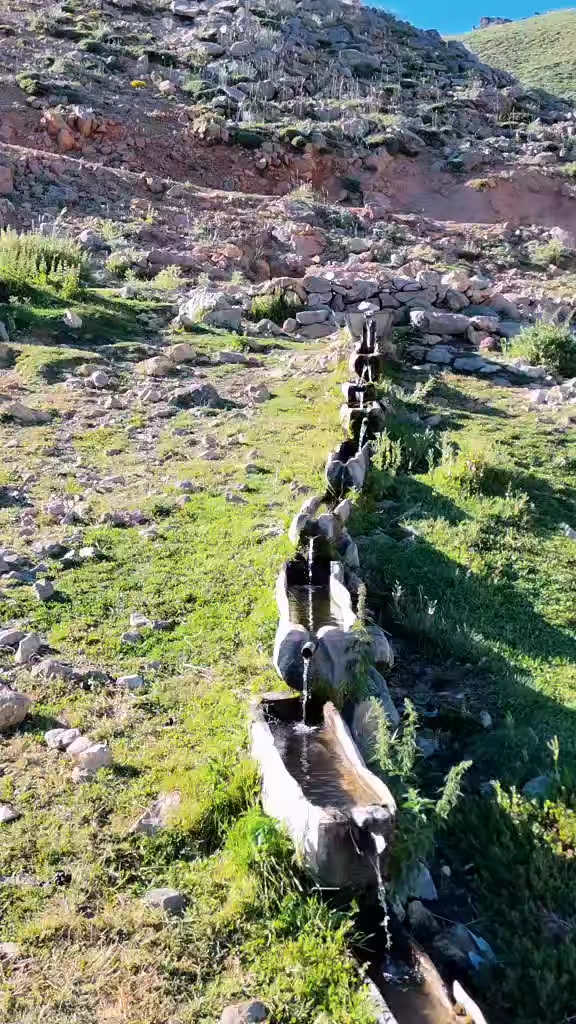 @DAĞCI.46