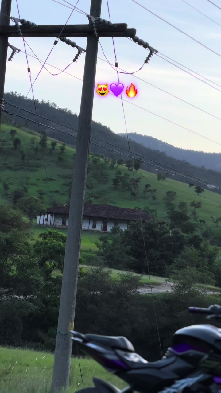 @Andy💜 🦈