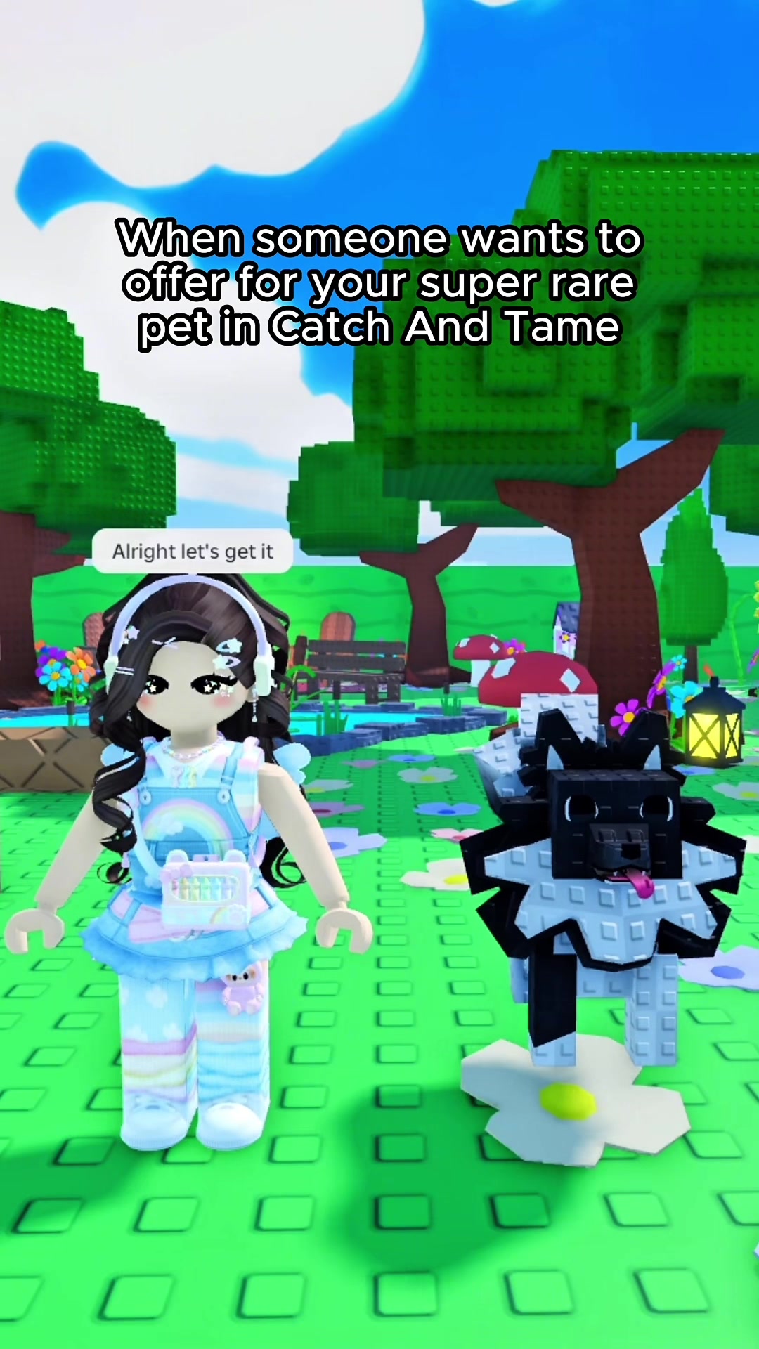 @Catch & Tame