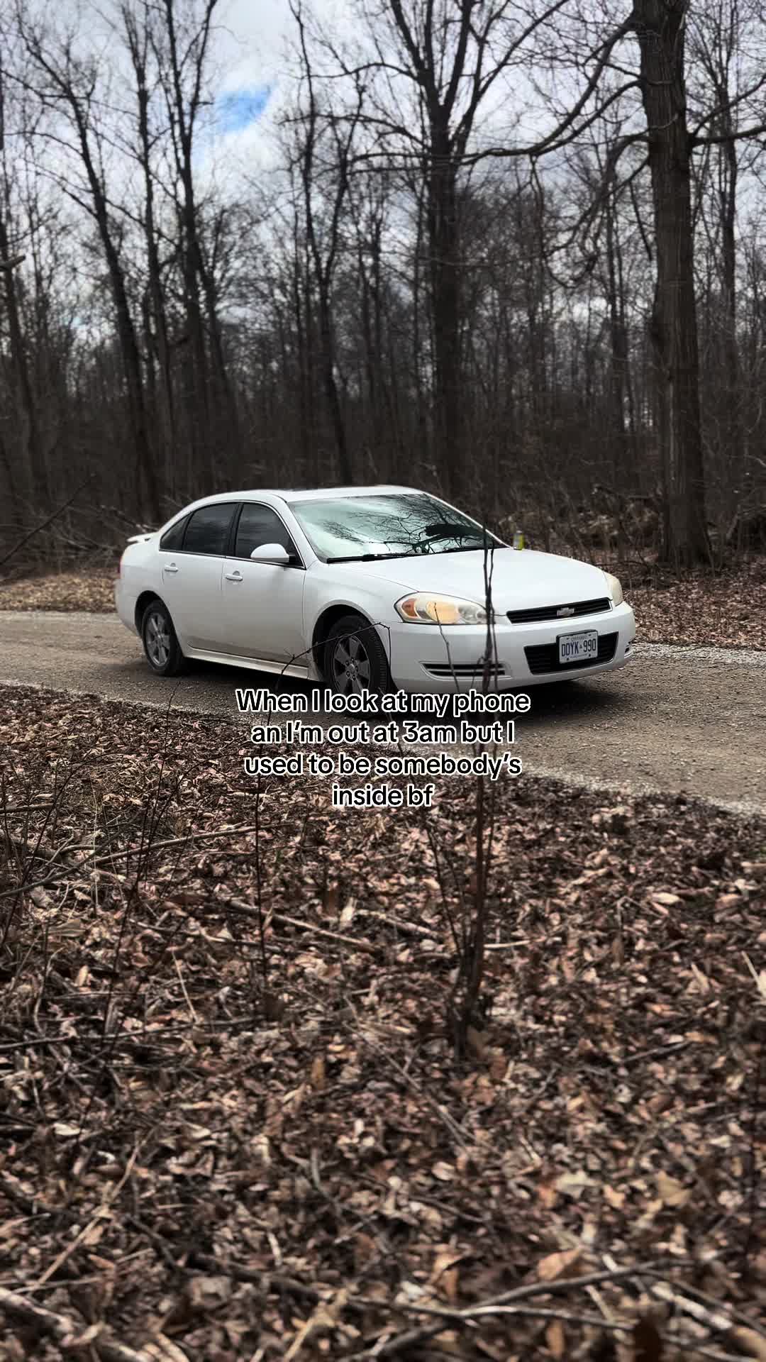 @blackie_the_sierra