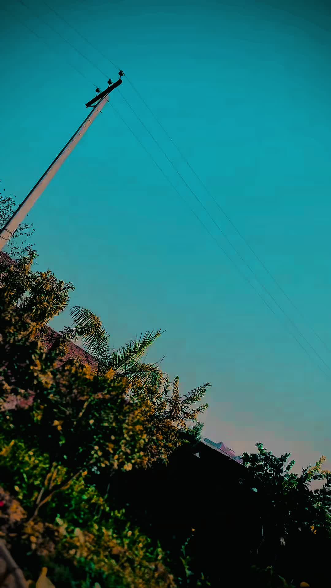@بھلی دھیلے آلہ🥷🏻🔥