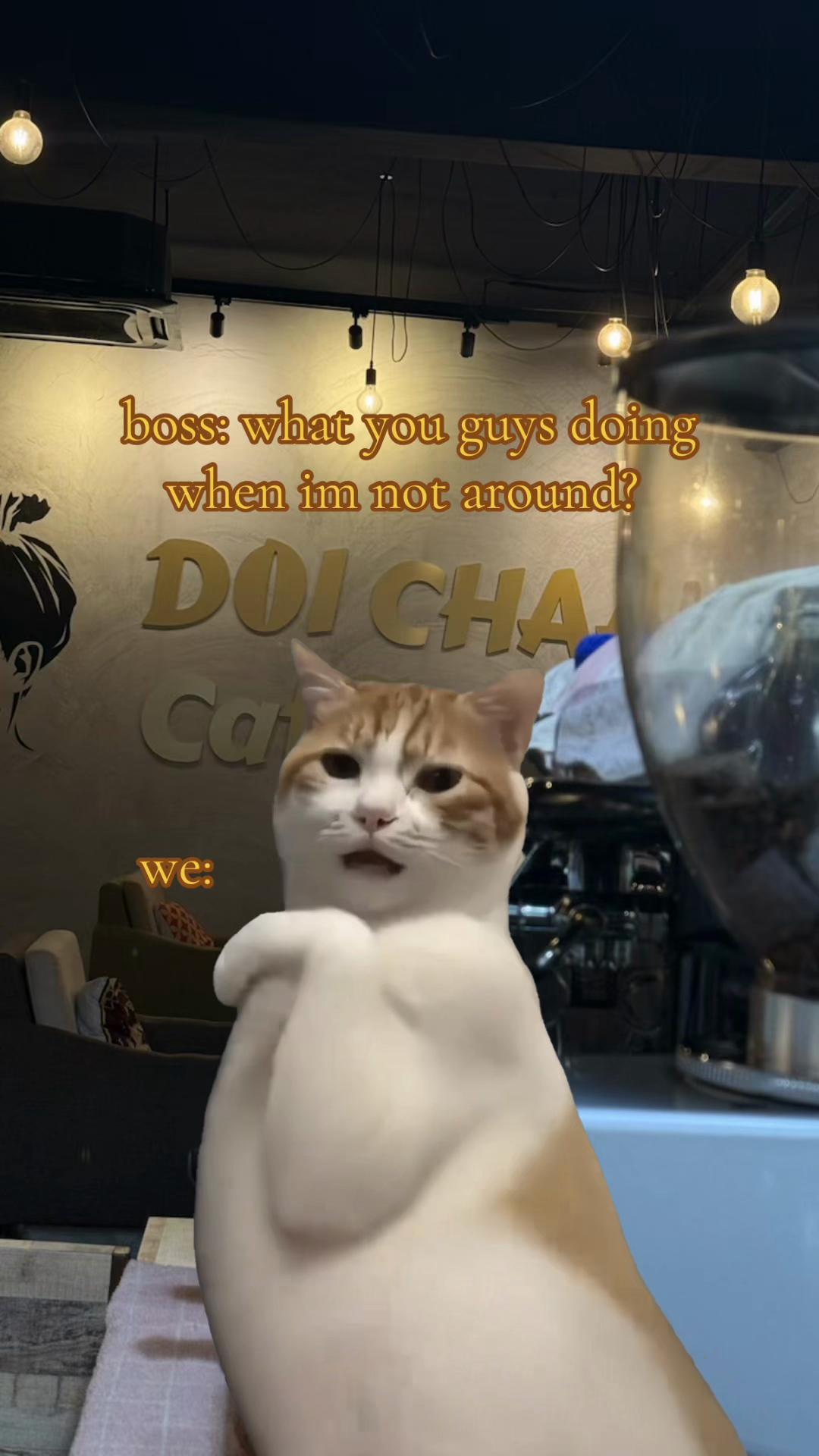 @Doi Chaang Caffè USJ Taipan