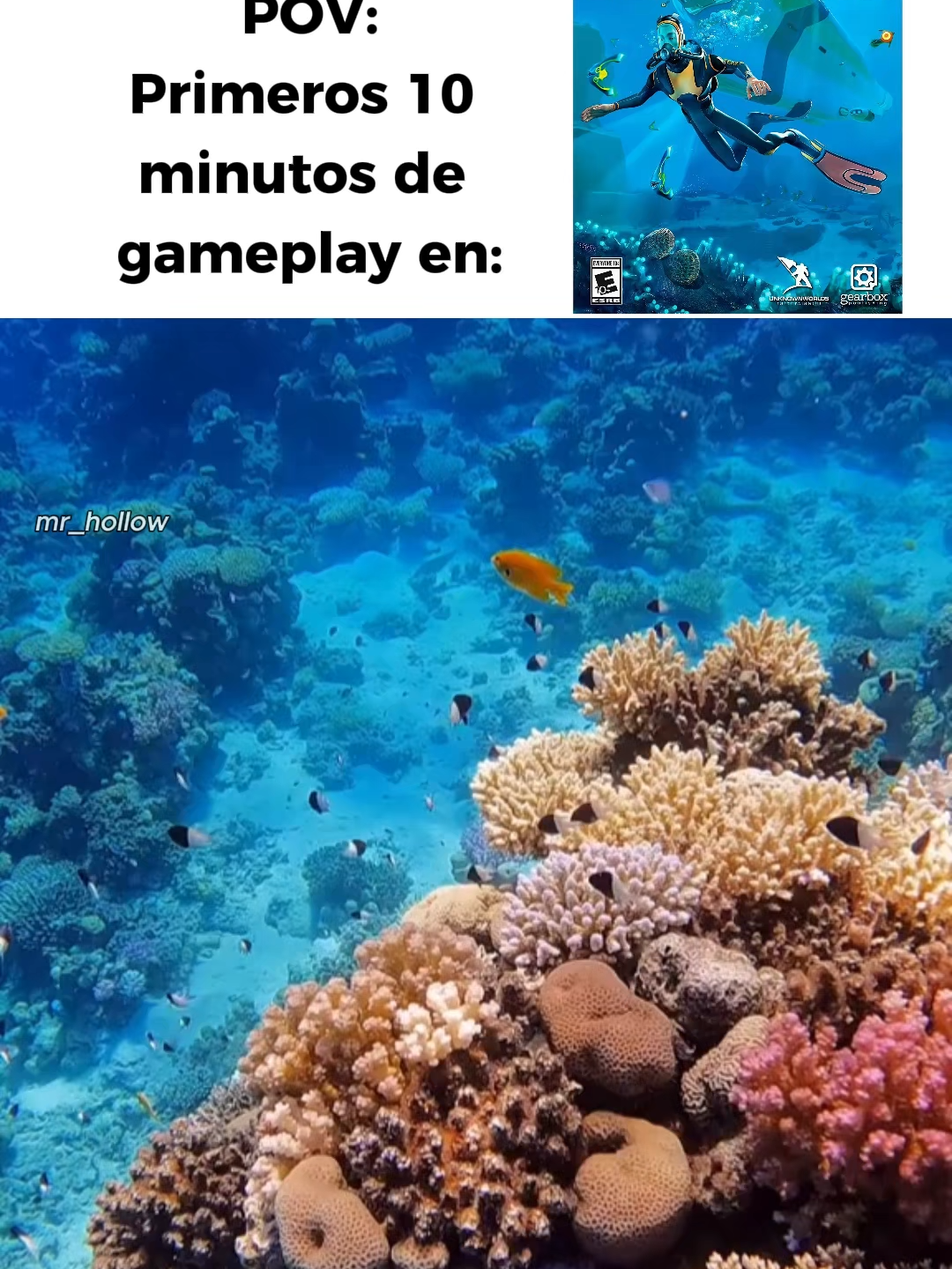 @MR_HOLLOW.🐧