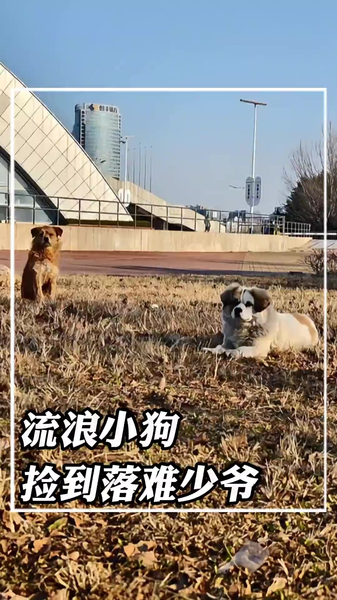 @秦始皇