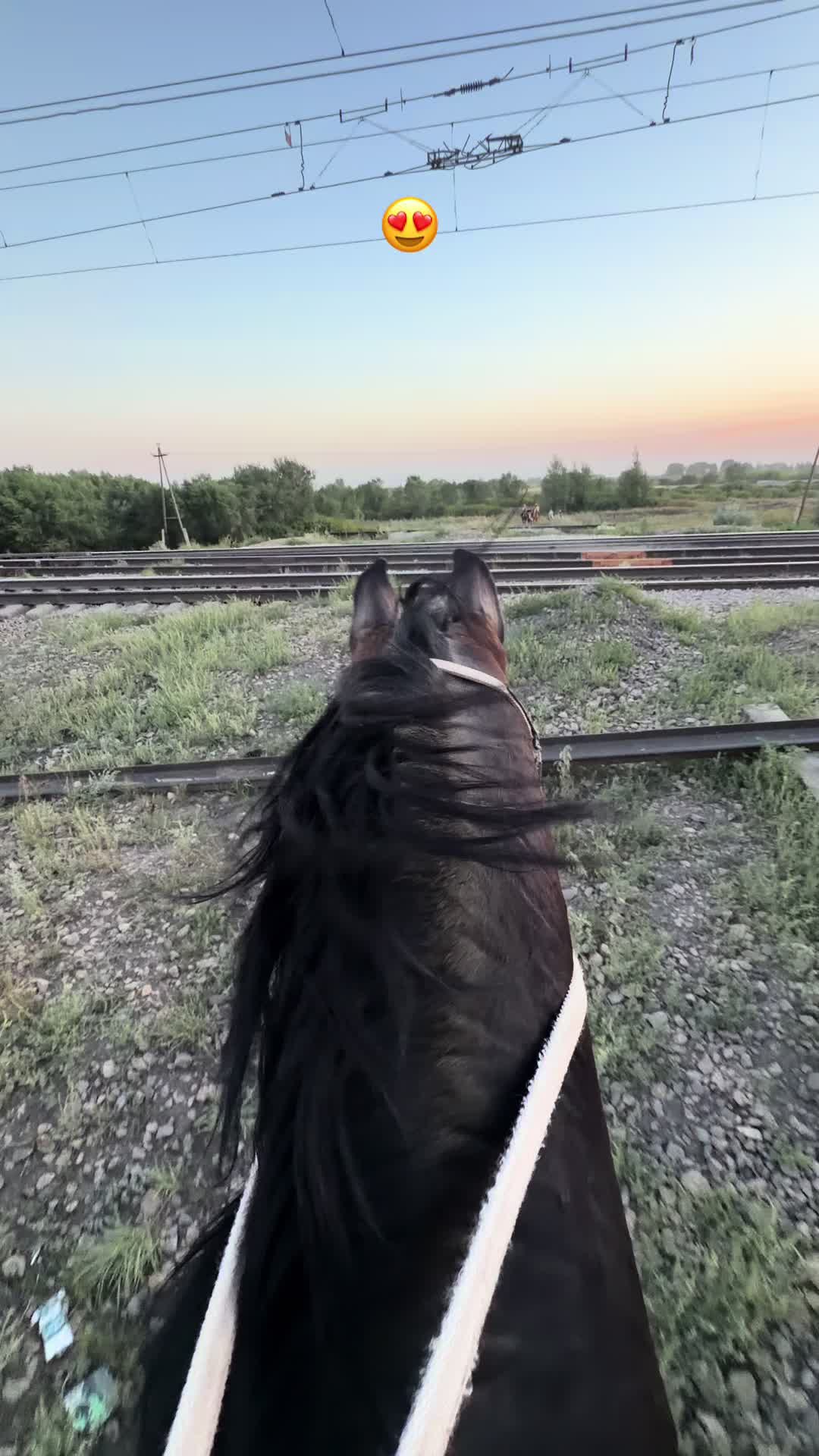 @NAZEKA🐎