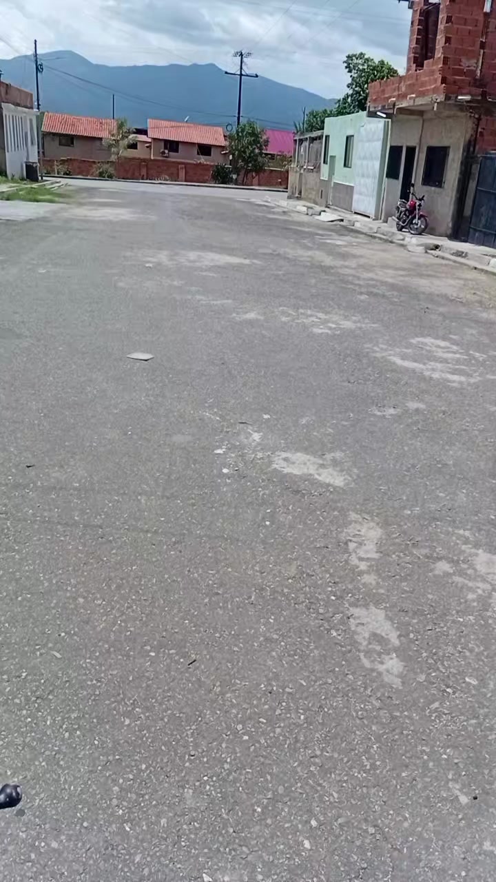 @el manao la película